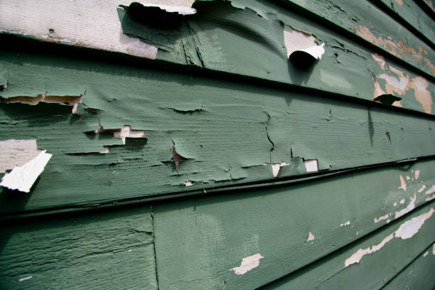Best Recycling Services for Junk  in West Fairview, PA