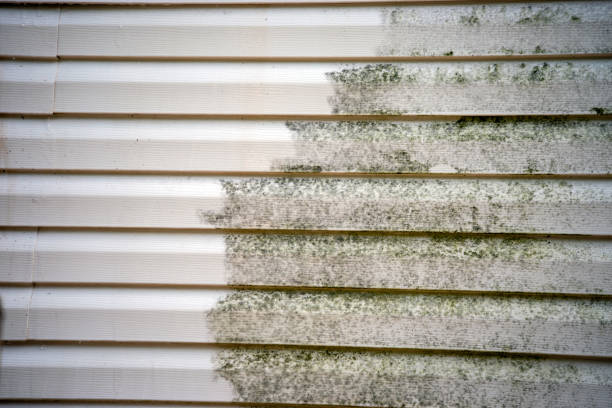 Best Demolition Debris Removal  in West Fairview, PA