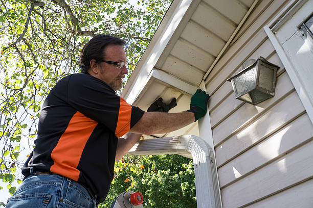 Best Hoarding Cleanup  in West Fairview, PA